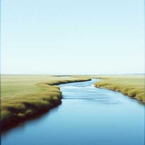 Grace in Motion (Rev)