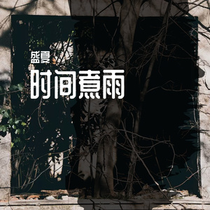 时间煮雨