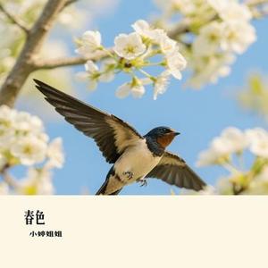春色 (Cover 卓沅)