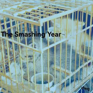 结婚记（cover.水仙斗活佛）