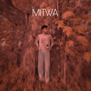 Mitwa