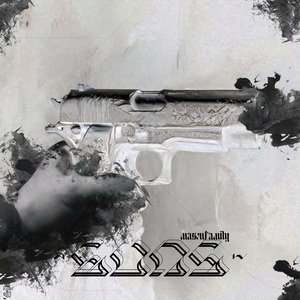 GUNS