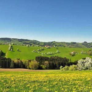 那些花儿---朴树