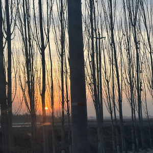 十九岁的女朋友