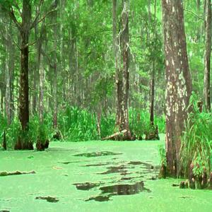 reminiscent (Instrumental)