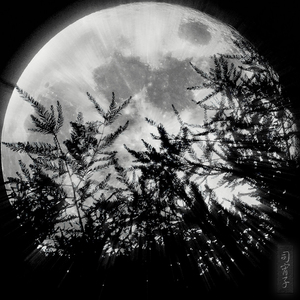 司宵子（翻自 冥月/大古/鮟此）（翻自 冥月/大古/鮟此）