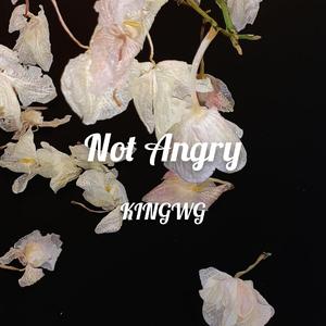 Chris James-Not Angry（KINGWG remix）