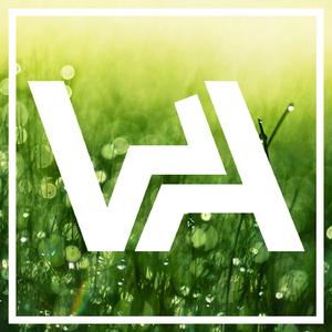 Dewdrops (Original Mix)