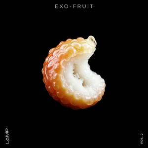 Crysleep (Original Mix)