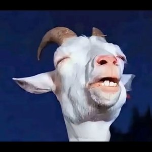 比朋友更具体，比爱人更抽象