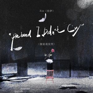 Pretend I Didn't Cry（假装我没哭）