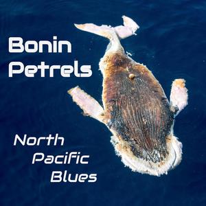 North Pacific Blues