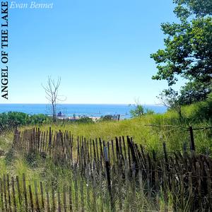 A Comedy for Turtles