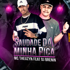 Saudade da Minha Pica