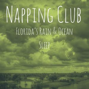 Birds Chirping After Storm