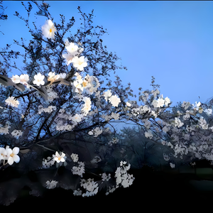 喊不出口的妈妈