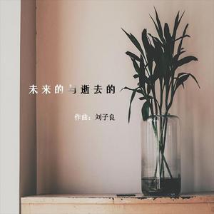 未来的与逝去的