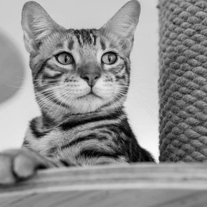 思念会下雪（demo）