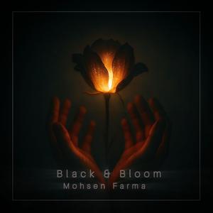Black & Bloom