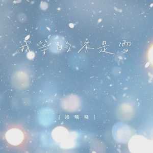我等的不是雪