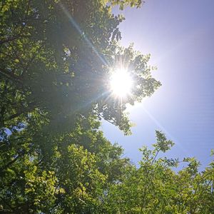 清晨的阳光（纯音乐）