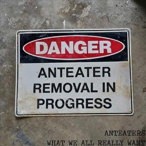 What We All Really Want