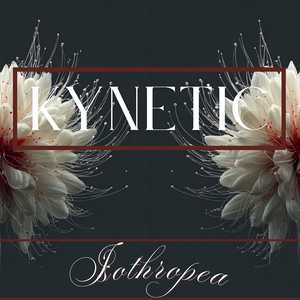 Kynetic