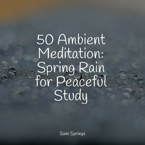 Seagulls on the Beach (Relaxing Ocean Waves)