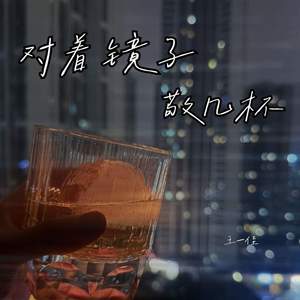 对着镜子敬几杯