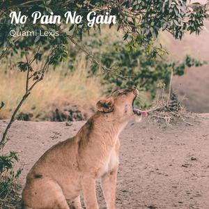 No Pain No Gain