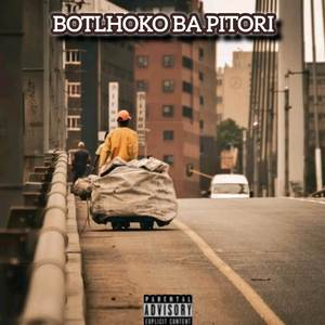 Botlhoko ba pitori