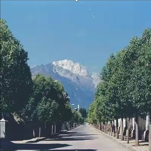 长大（feat.e崽）（Prod.CHAUNCEY）