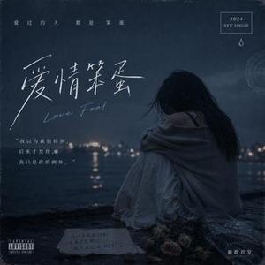 爱情笨蛋 (R&B版)