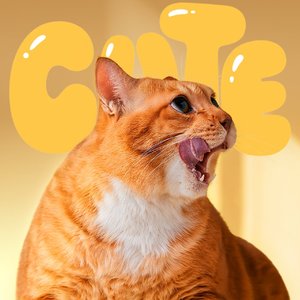 雨声哗啦啦（男）.mp3