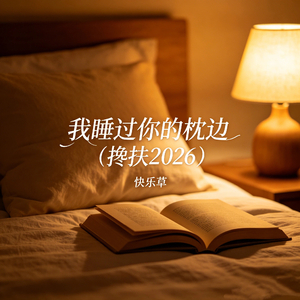 我睡过你的枕边(搀扶2026）