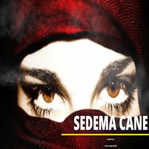 Sedama Cani Kurdish Trap REMİX