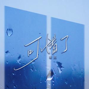 可惜了（DJ版）