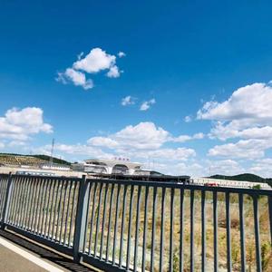 我有孤独和烈酒