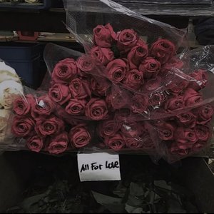 后来(烟嗓版)_北极星小姐姐