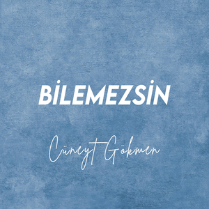 Bilemezsin