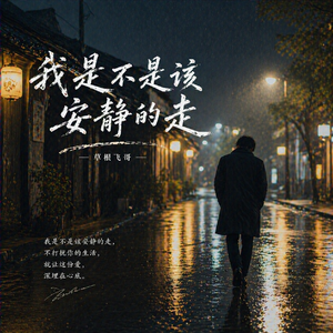 我是不是该安静的走