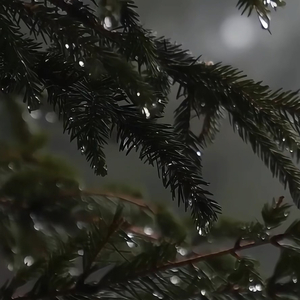 《又如潮水般褪去》
