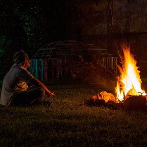 Glimmers of Glory in the Glowing Grove