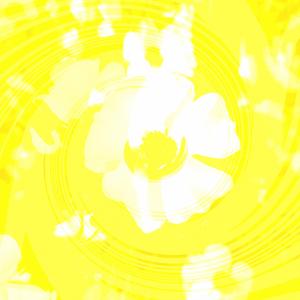 01001000 01000101 01011001 (Instrumental)