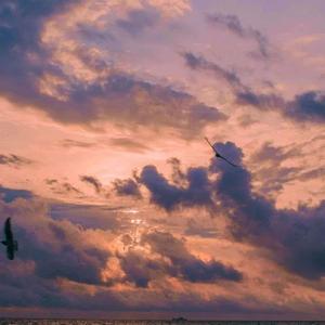 广东爱情故事（正式版）