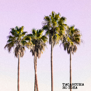 No Idea (Original Mix)