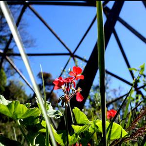 Lokah Samastah Sukhino Bhavantu