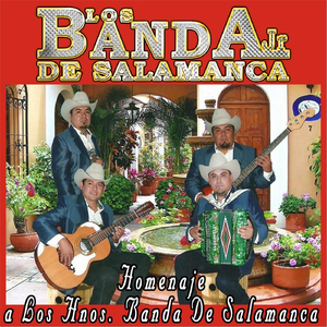 Borradita Diente de Oro