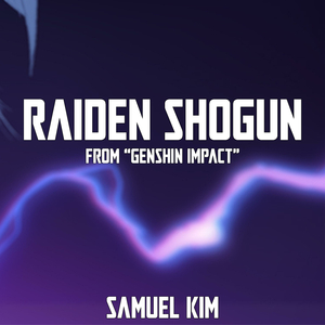 Raiden Shogun Theme (Judgement of Euthymia)
