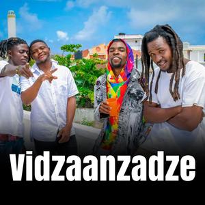 Vidzandzadze